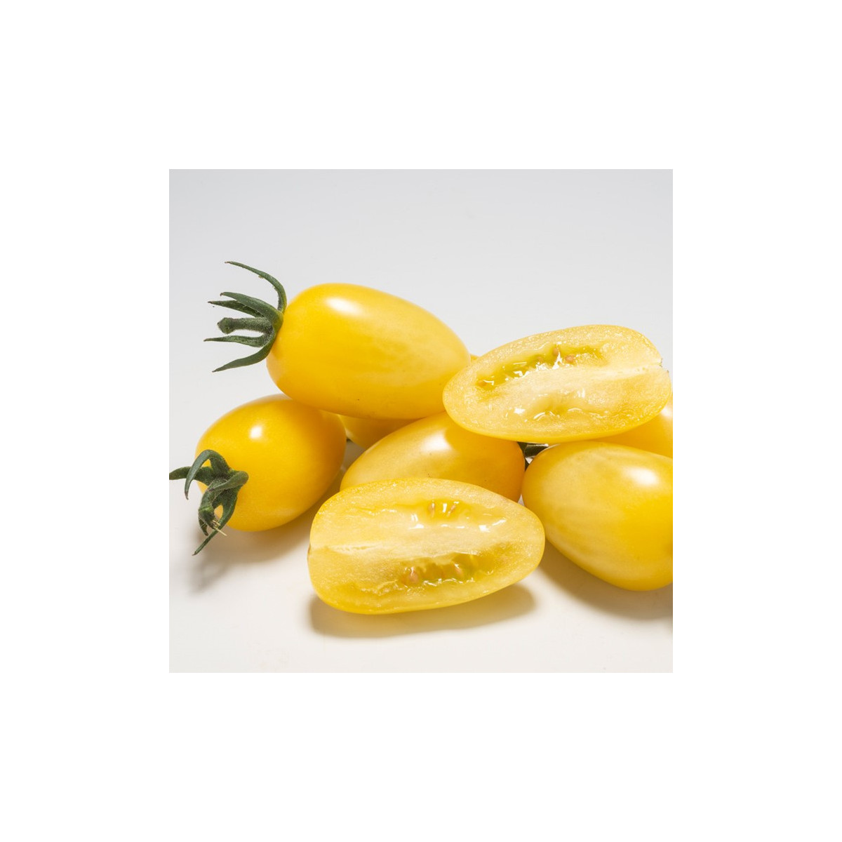 Paradajka Dattolime F1 - Solanum lycopersicum - predaj semien - 6 ks