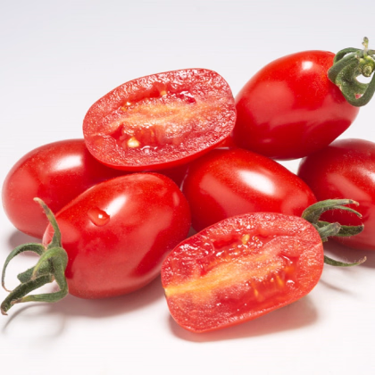 Paradajka Dattored F1 - Solanum lycopersicum - predaj semien - 6 ks