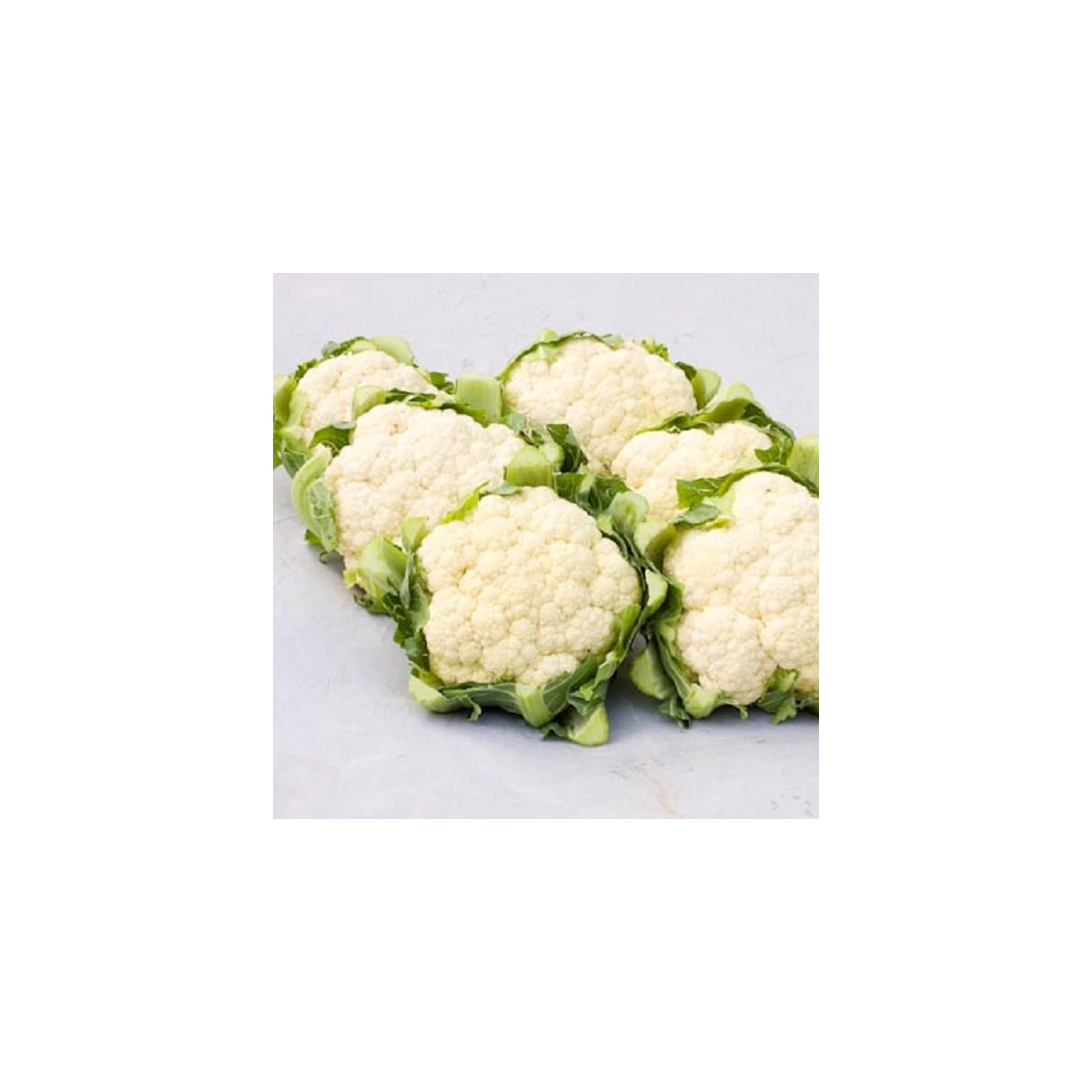 BIO Karfiol Amabile KS - Brassica oleracea - bio predaj semien - 20 ks