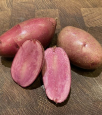 Sadbové zemiaky Heiderot - Solanum tuberosum - predaj sadiva - 5 ks