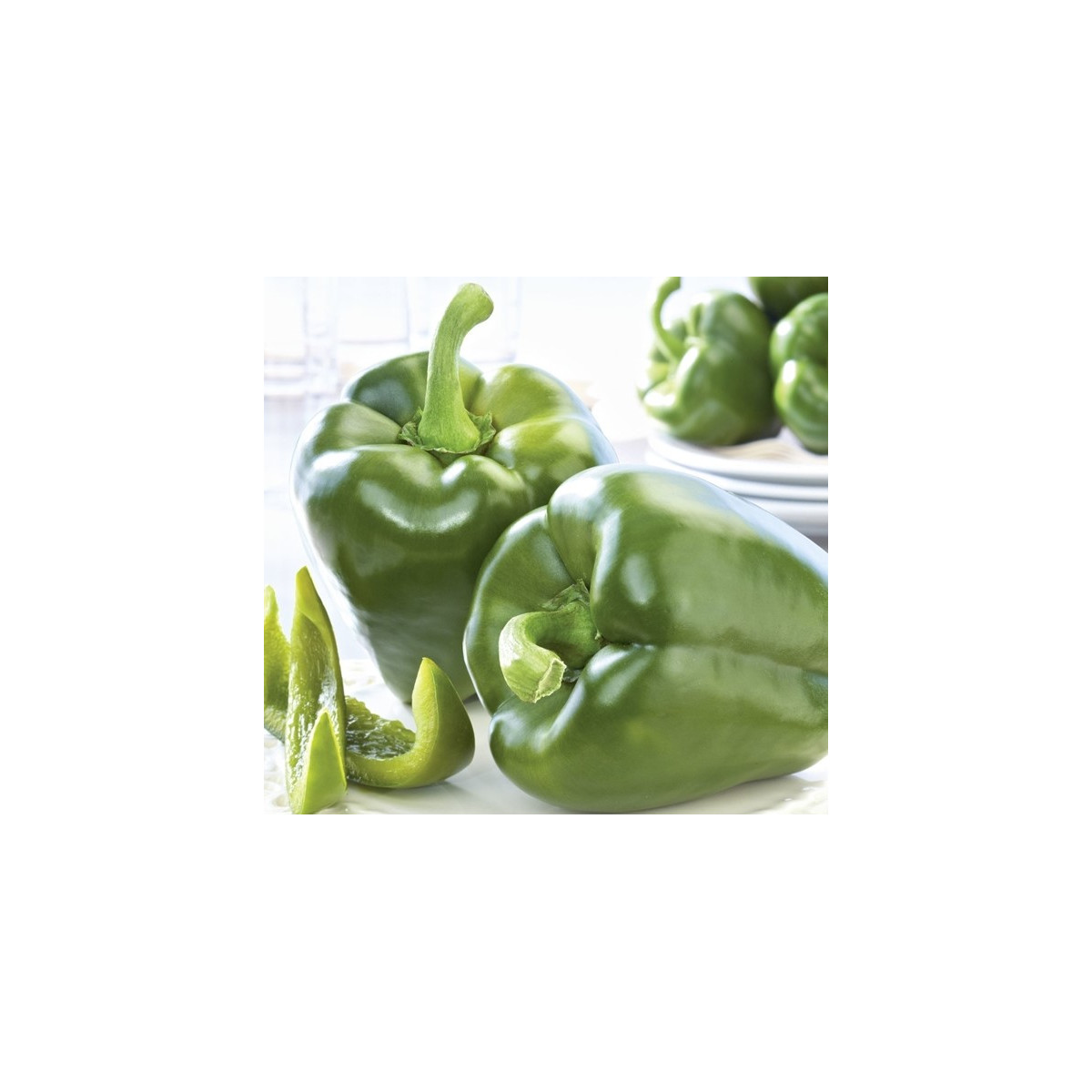 Paprika Beluga Green F1 - Capsicum annuum - predaj semien - 5 ks
