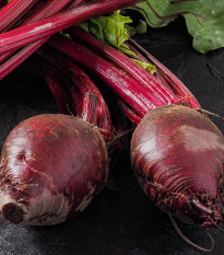 Semená červená repa Redshine - predaj výsevných pásikov - 5 m