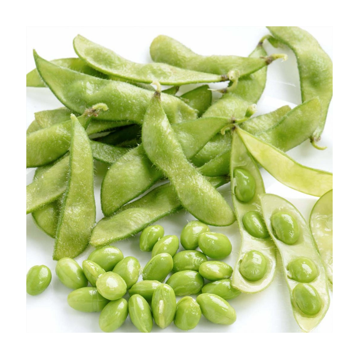 BIO Sója Green Shell - Glycine max - predaj bio semena - 20 ks
