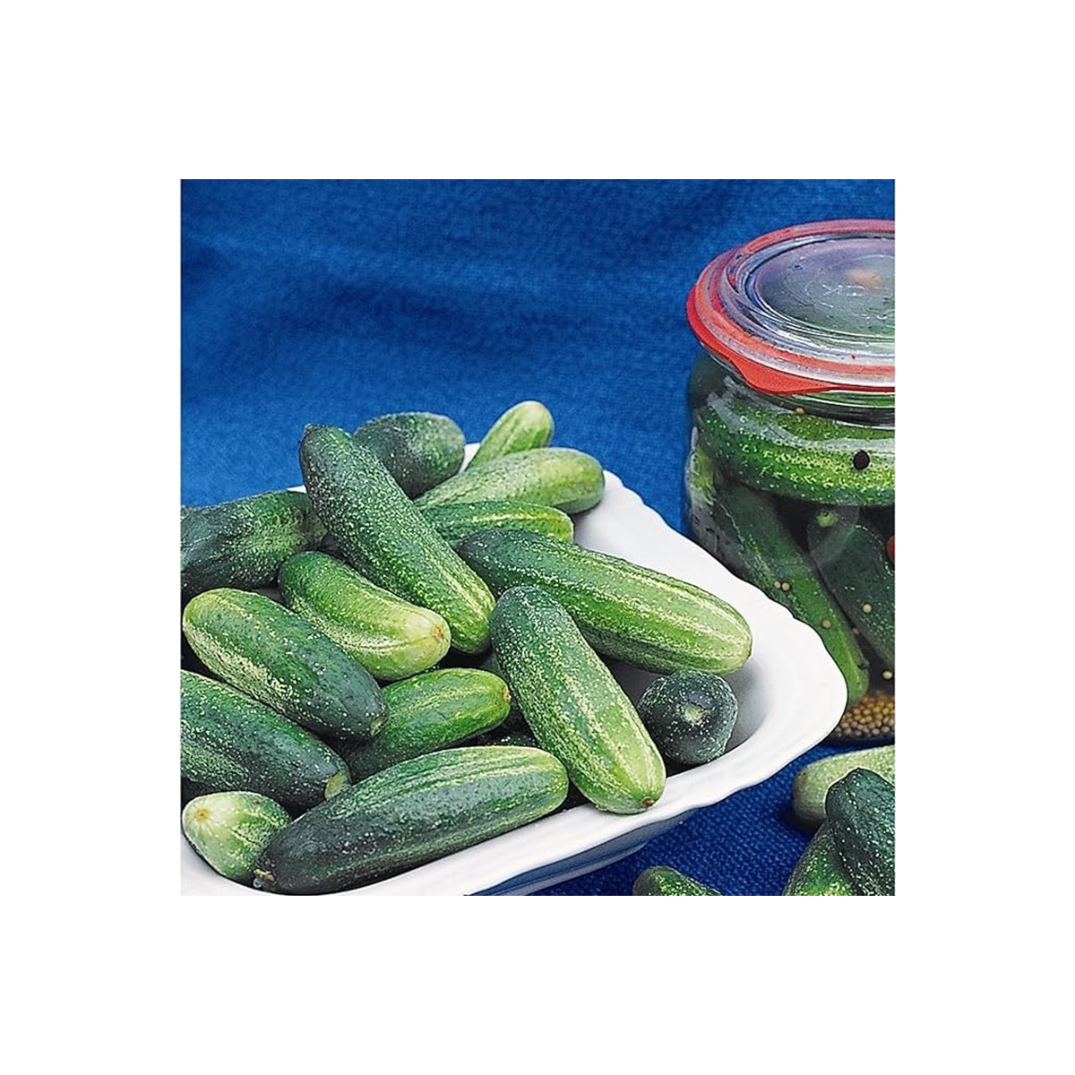 Uhorka Tellus F1 - Cucumis Sativus - semiačka - 4 ks
