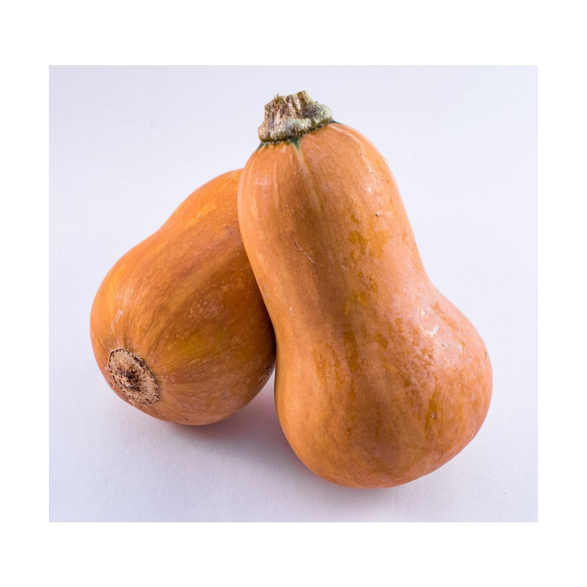 Tekvica maslová Honeynut - Cucurbita moschata - predaj semien - 6 ks