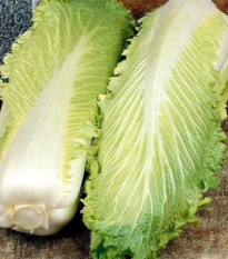 BIO pekinská kapusta Granat - Brassica rapa pekinensis - predaj bio semien - 100 ks
