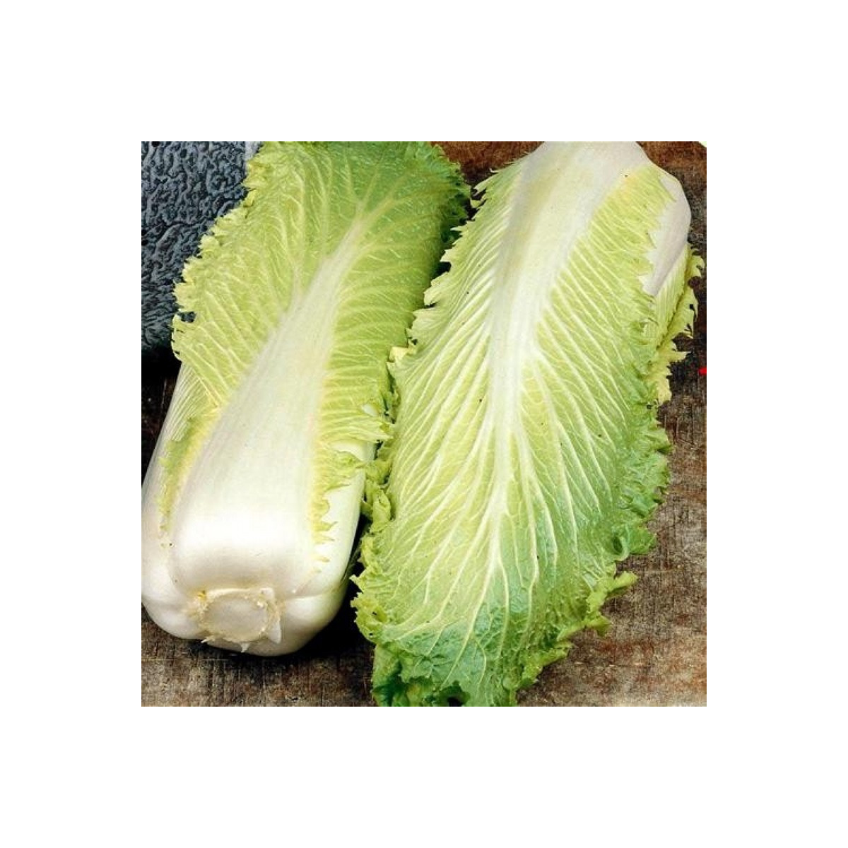 BIO pekinská kapusta Granat - Brassica rapa pekinensis - predaj bio semien - 100 ks
