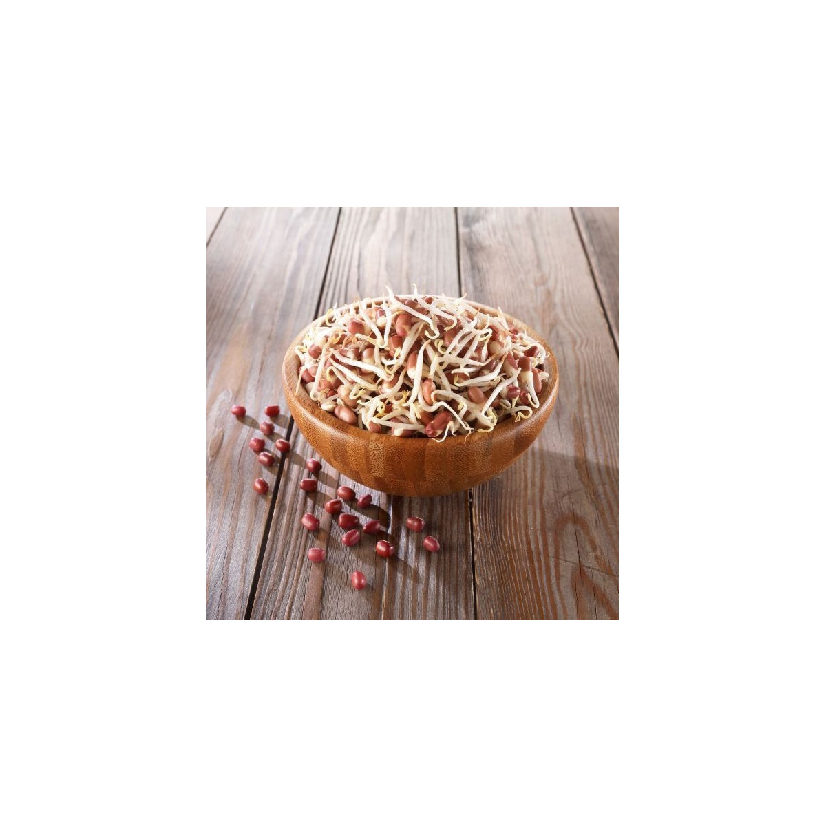 BIO Vigna hranatá - predaj bio semien na klíčenie - 200 g