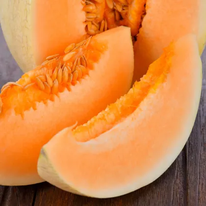 Melón cukrový Sweet Granite - Cucumis melo - predaj semien - 10 ks