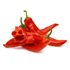Chilli stredne štipľavé