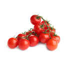 Koktejlové paradajky