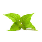 Ostatná listová zelenina