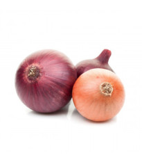 BIO cibuľa
