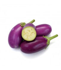 BIO Baklažán