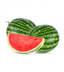 BIO Melón