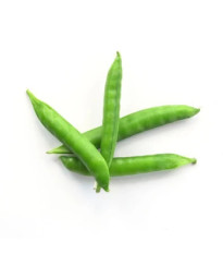 BIO Hrach dreňový