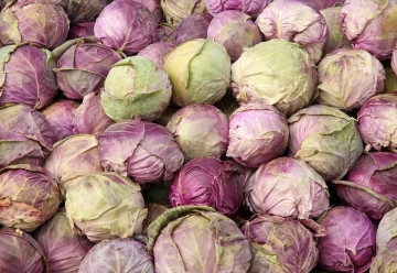 Tip na vitamíny v zime – ružičkový kel