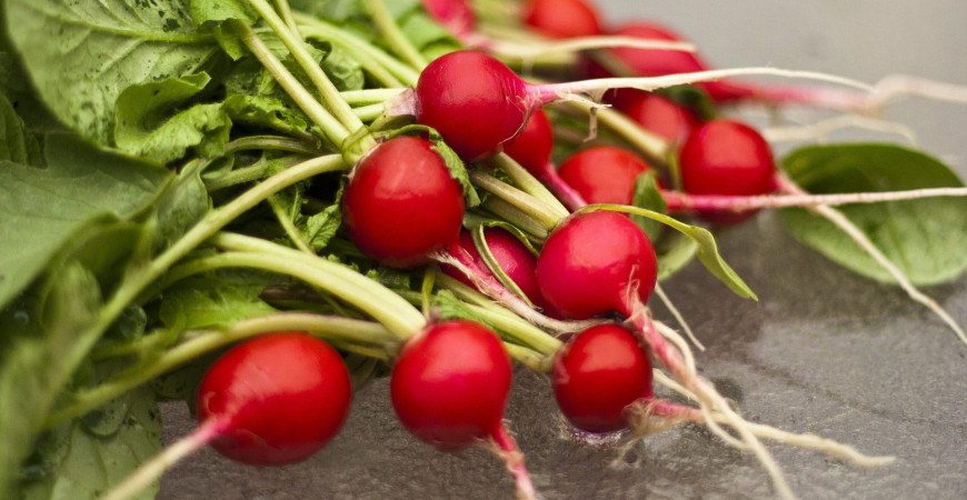 Reďkovky a okrúhlice zaplavia prázdne miesta po skorej zelenine