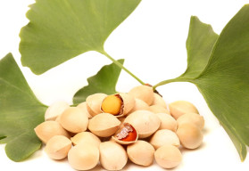 Ginkgo biloba – strom so zázračnými účinkami