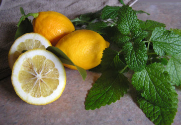 Bylinky s citrusovou arómou – prevoňajú vám domov a majú využitie i v kuchyni