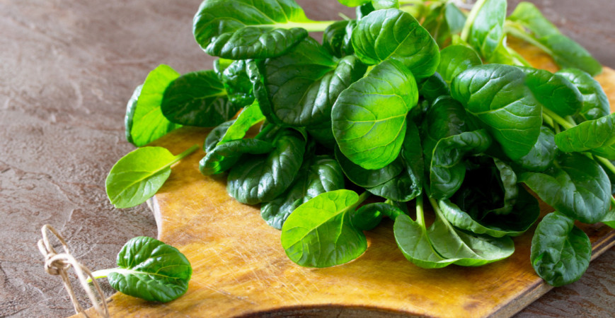 Špenát je kráľom zeleniny, vysejte ho na jeseň a úroda vás poteší už skoro na jar