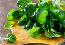 Špenát je kráľom zeleniny, vysejte ho na jeseň a úroda vás poteší už skoro na jar