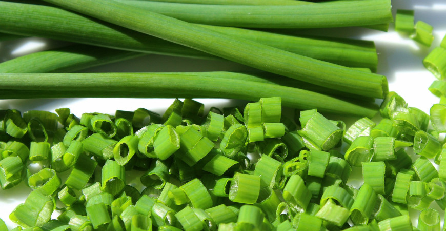 Vedeli ste, že i pažítka je cibuľovou zeleninou? (časť 1.)