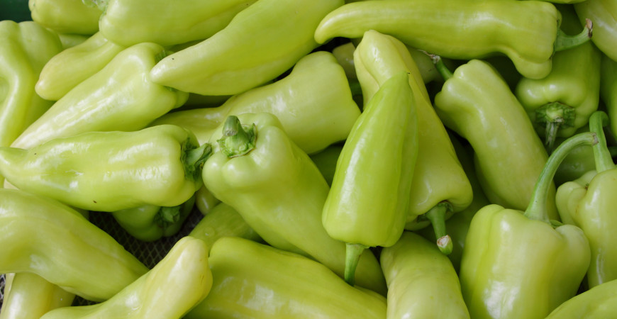 Prečo pestovať papriky? 