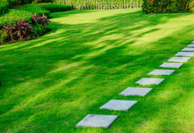 Oživte po zime mierne "unavený" trávnik 