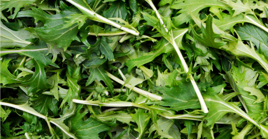 V jarnom jedálničku nezabúdajte na rukolu