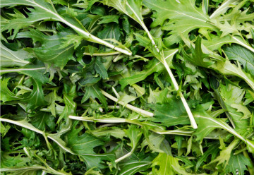 V jarnom jedálničku nezabúdajte na rukolu