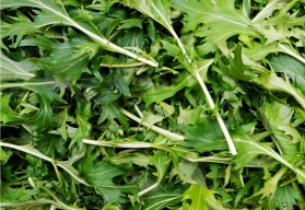 V jarnom jedálničku nezabúdajte na rukolu