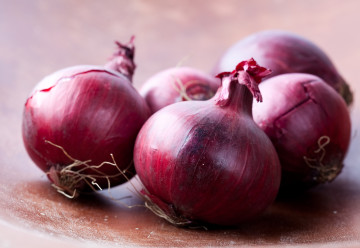 Pestovanie cibule zo semien