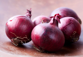 Pestovanie cibule zo semien