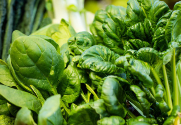 Že poznáte len pekingskú kapustu? Skúste si tento rok vysadiť aj iné druhy ázijskej zeleniny.