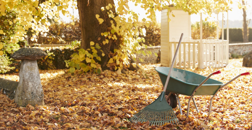 V novembri už zazimujte záhradu