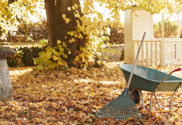 V novembri už zazimujte záhradu
