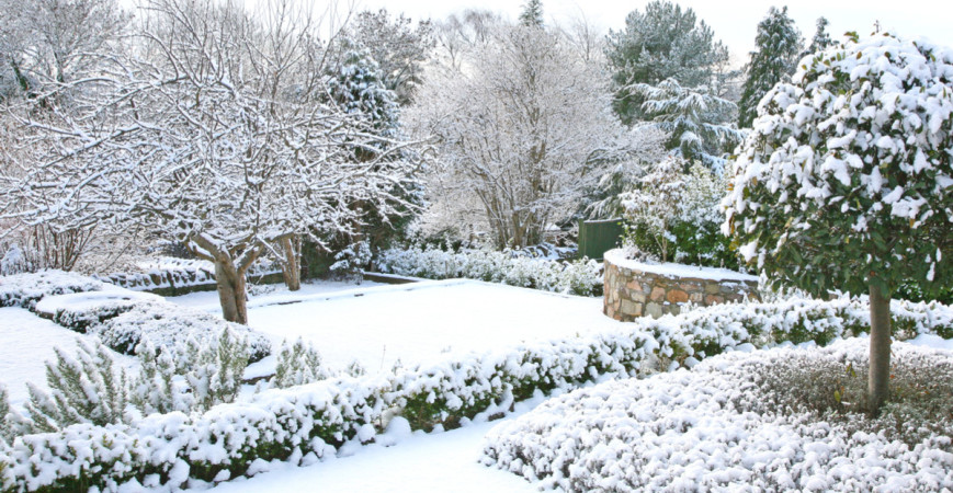 Zima sa pomaly blíži, je na ňu vaša záhrada pripravená?