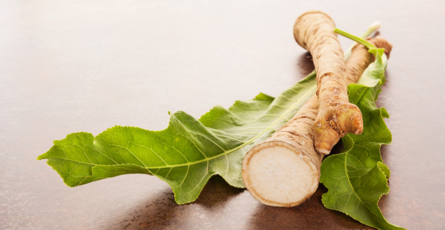 Chren, rastlina, ktorú môže pestovať každý