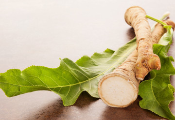 Chren, rastlina, ktorú môže pestovať každý