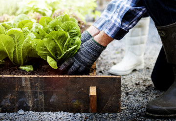 Záhradnícka sezóna sa rozbieha na plné obrátky – hrabeme, ryľujeme, môžeme už sadiť
