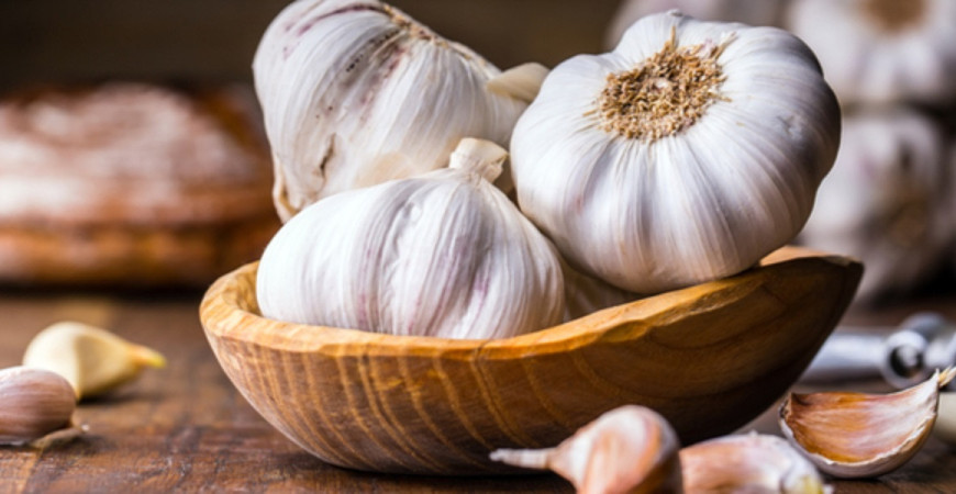 Pestovanie cesnaku - choroby a škodcovia