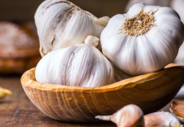 Pestovanie cesnaku - choroby a škodcovia