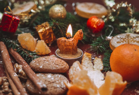 Neviete, čo darovať pod stromček? Skúste to s našimi darčekovými balíčkami semien