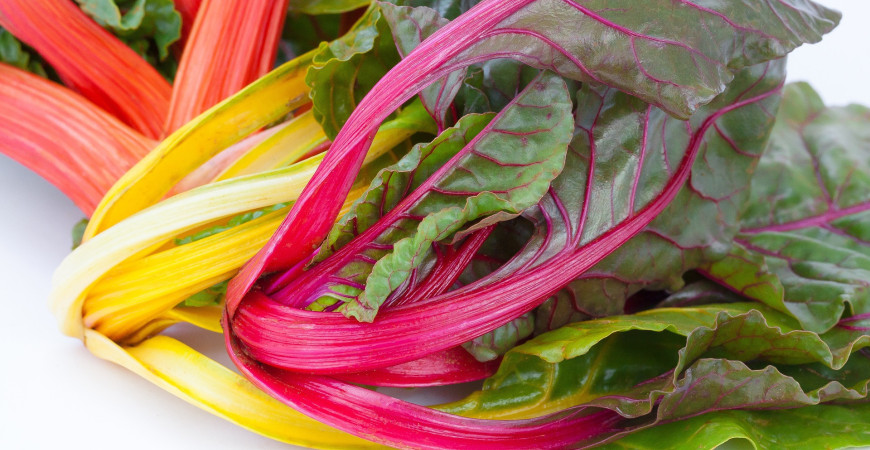 Odevte záhradu do farieb s okrasnými rastlinami a zeleninou