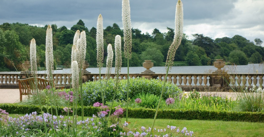 Na záhrade ju neprehliadnete, fakľa bude jej dominantou