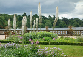 Na záhrade ju neprehliadnete, fakľa bude jej dominantou