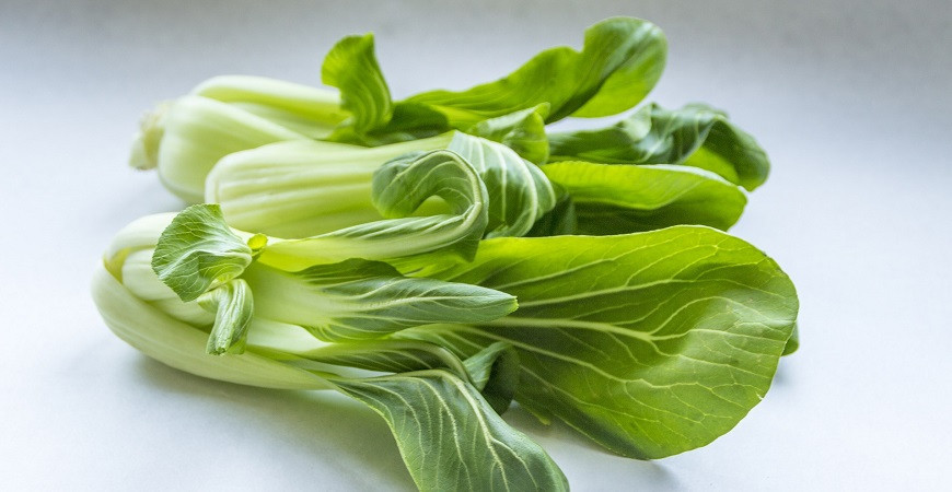 Japonské a čínske šaláty sú nenáročné na pestovanie, rýchlo rastú 