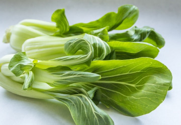 Japonské a čínske šaláty sú nenáročné na pestovanie, rýchlo rastú 