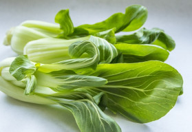 Japonské a čínske šaláty sú nenáročné na pestovanie, rýchlo rastú 